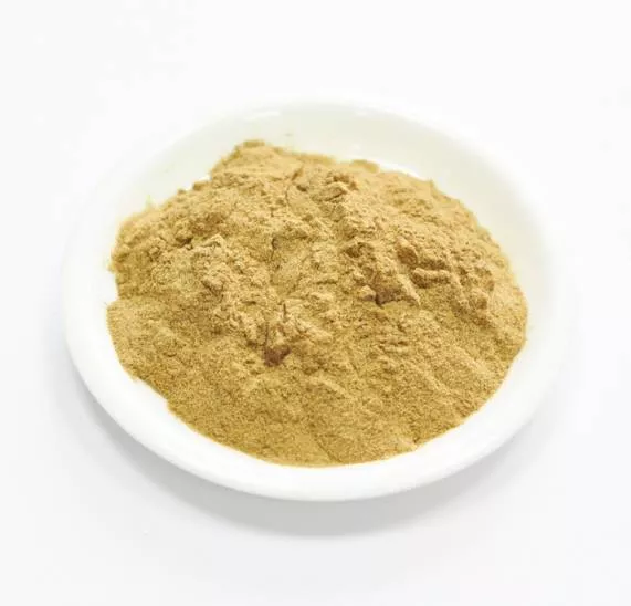 Сухой экстракт ортосифона (трава) (лат. Orthosiphonis staminei folia)